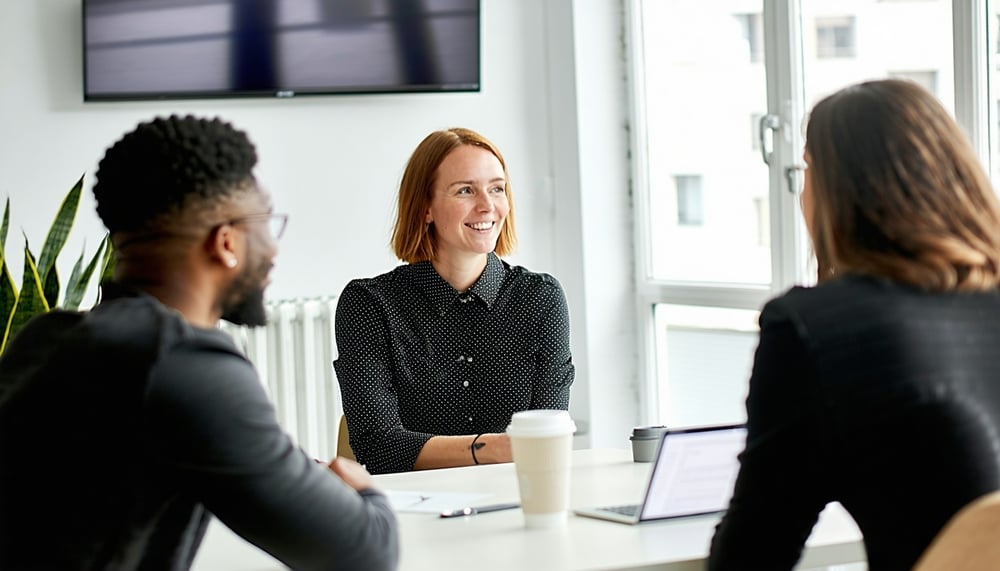 Consultant collaborating with business owners